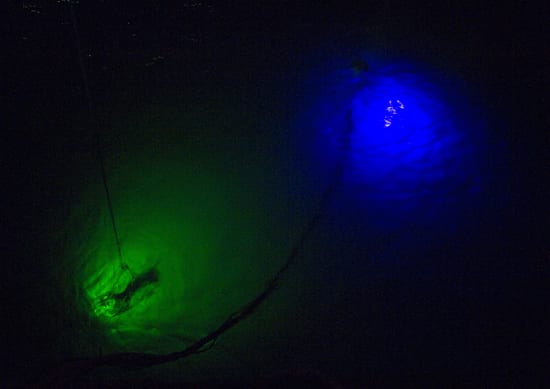 Signals in the dark