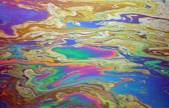 While Oil Gently Seeps from the Seafloor