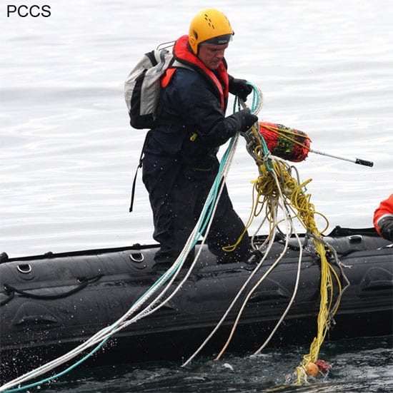 whale4_en_89216.jpg