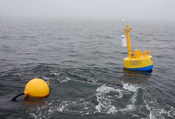 whale-buoy-launch250_91114.jpg