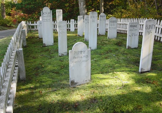Pet cemetery