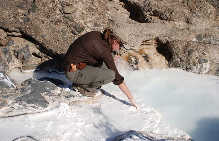 Turning Carbon Dioxide Gas into Rock