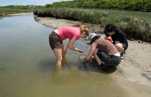 A Summer of Science on the Sea