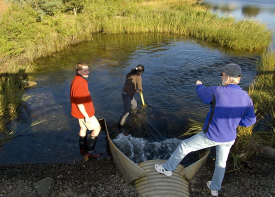 Out of the classroom, into the pond