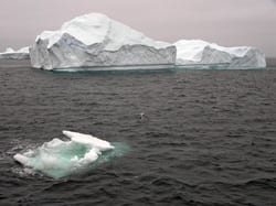 ice1_marnela_250_46971_97628.jpg
