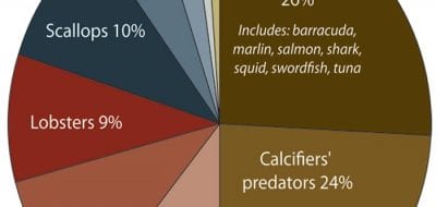 The Socioeconomic Costs of Ocean Acidification
