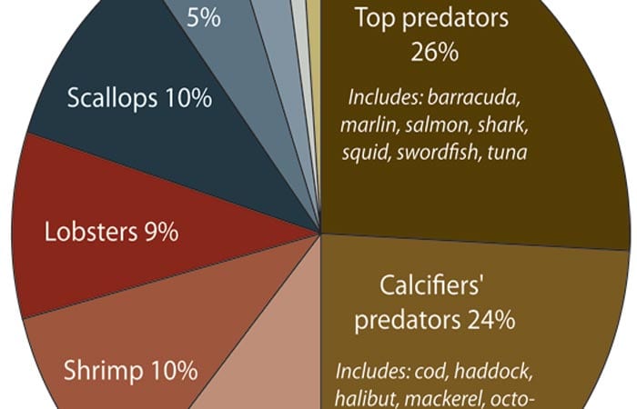 The Socioeconomic Costs of Ocean Acidification