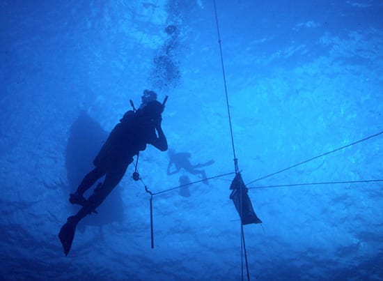 Into the open ocean