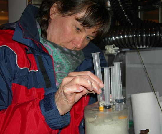 Subsampling