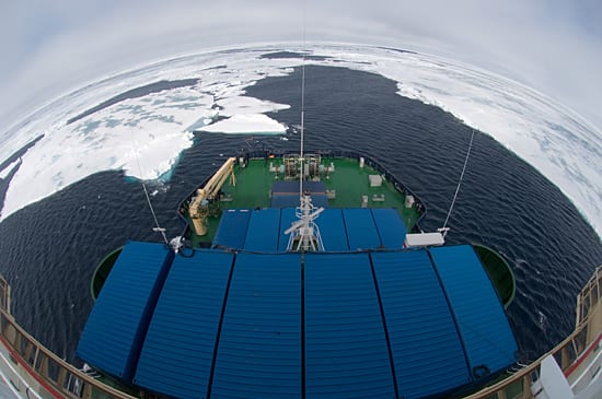 A fish-eye lens view