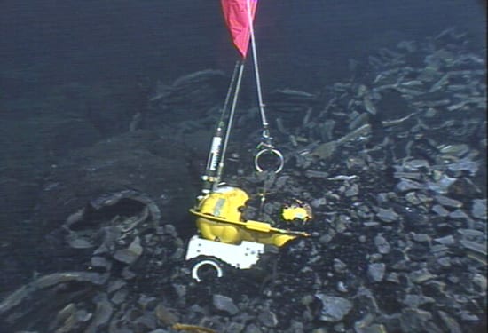 3Chiptwo_550_45931_115608.jpg