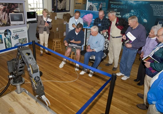 Volunteering at WHOI--Priceless