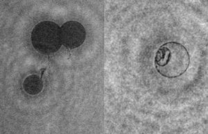 Tracking a Trail of Oil Droplets