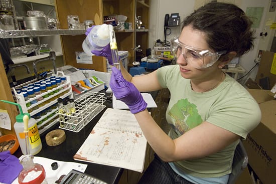 The Origin of Plastic Marine Debris