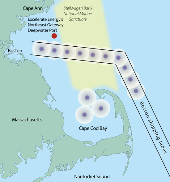 Preventing Ship-Whale Collisions