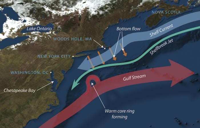 Where the Food Is in the Sea, and Why