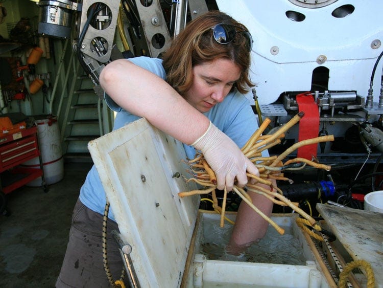 Kate_Buckman_750_131353.jpg