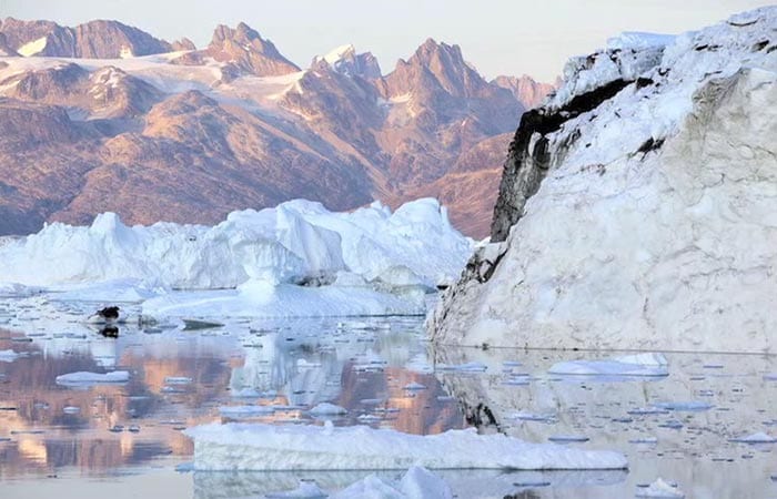 Where Ocean and Ice Meet