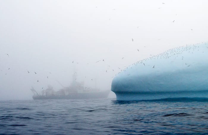 Through the Mist