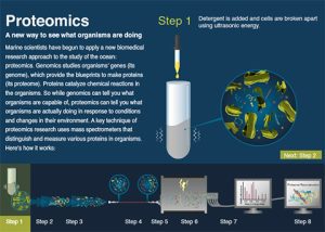 proteomics