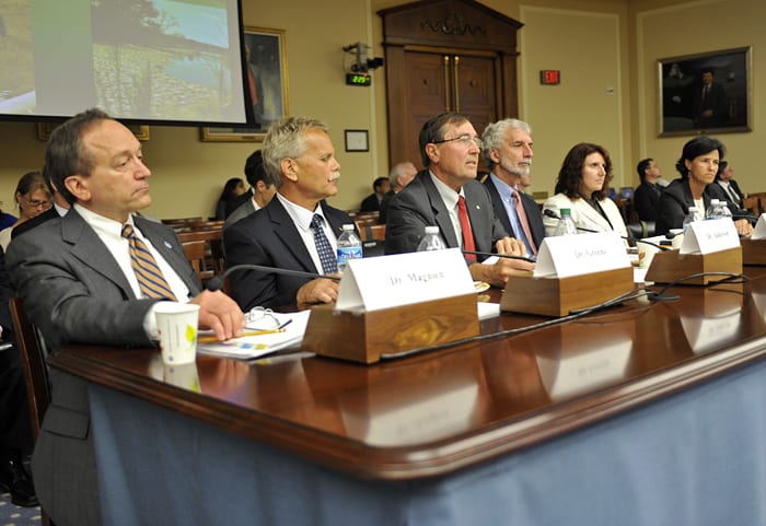Hearing from the Experts