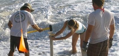 Shifting Sands and Bacteria on the Beach