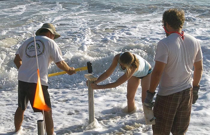 Shifting Sands and Bacteria on the Beach