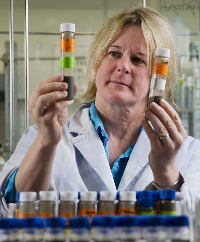 Probing for Protists