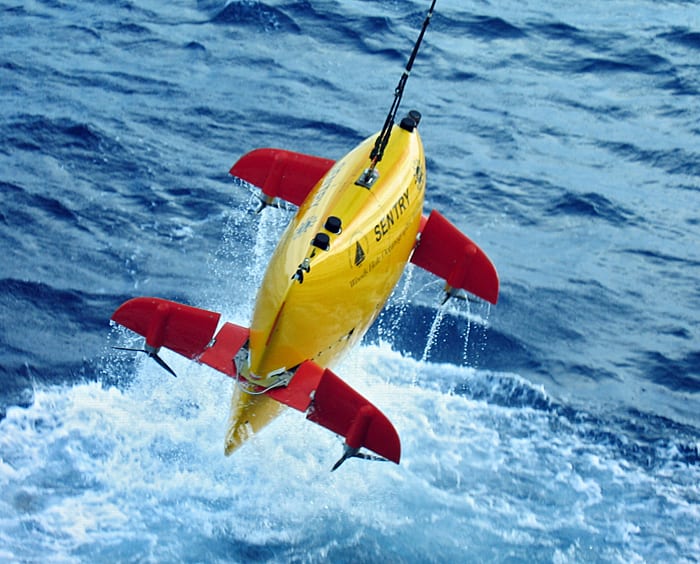 Sentry Finds New Coral in the Gulf
