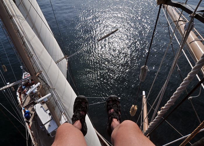 View from the Top