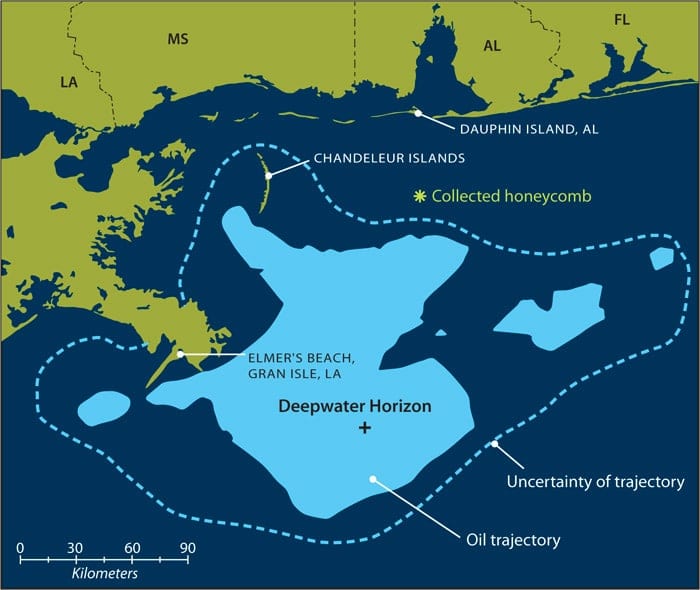 map of Gulf sampling locations