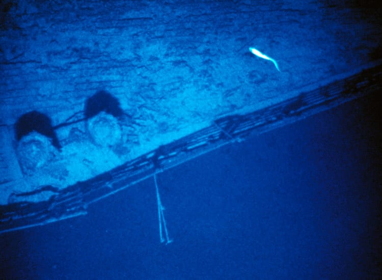 6fish_210257.jpeg