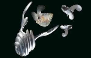 Exhibit Spotlights Sea Butterflies