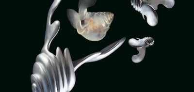 Exhibit Spotlights Sea Butterflies