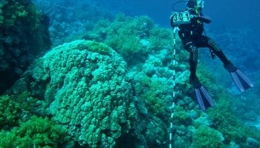 cal-redsea_konrad-diver-measuring-corals_221274.jpeg