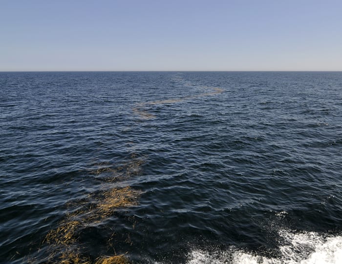 Ocean Fronts