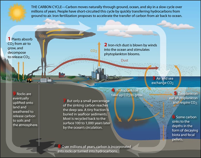 Carousel of Carbon