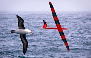 A Robotic Albatross?