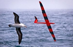 A Robotic Albatross?