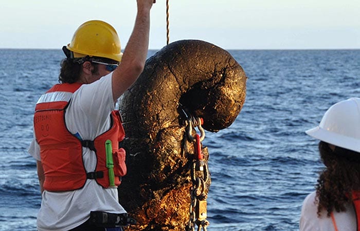 A Serendipitous Seafloor Sample