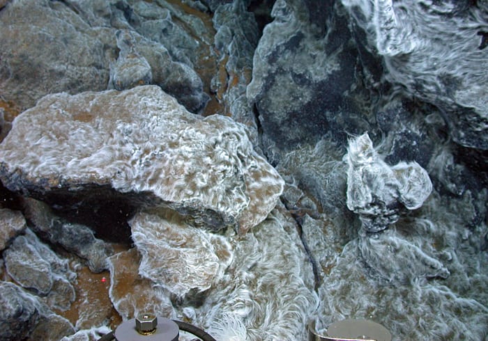 Furry Walls