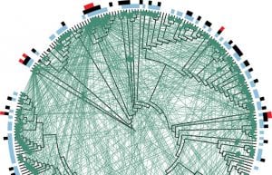 Bacteria Exhibit Altruistic Behavior