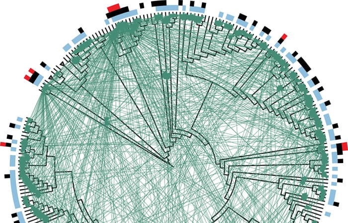 Bacteria Exhibit Altruistic Behavior