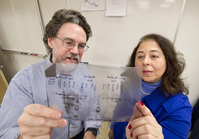 Finding Genetic Keys
