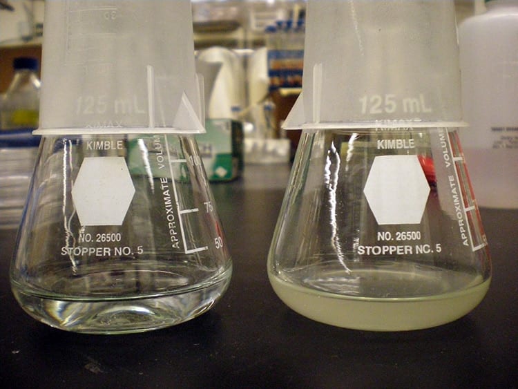 beaker750_279414.jpg