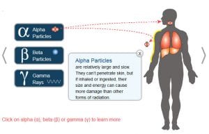 Radiation Health Risks