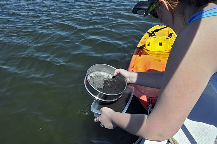 Searching for Forams