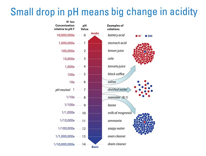 Small Changes, Big Impacts