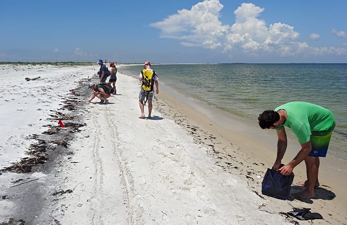 Gulf Coast Beachcombers