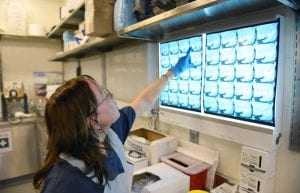 WHOI CSI Lab Investigates Rare Whales